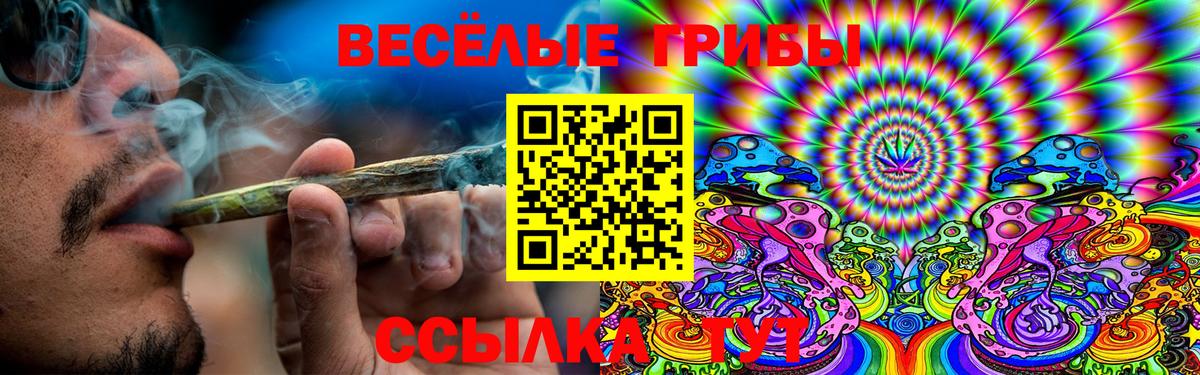 Светлоград  как найти наркотики  Вход с VPN  Псилоцибиновые грибы прущие грибы  Псилоцибиновые грибы мухоморы 